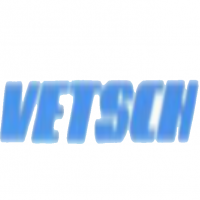 Vetsch Internationale Transporte AG