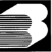 Druck + Verlag Bieler AG