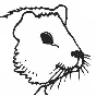 Meeris.ch