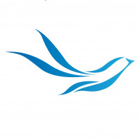 avoia gmbh