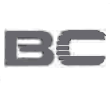BC Business Computers AG