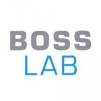 Boss-Lab SA (ab 2005 B B-Source SA)