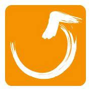 Stiftung You Count
