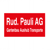 R. Pauli AG