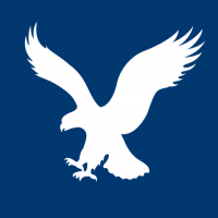 American Eagle Outfitters Inc.