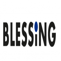 Blessing GmbH