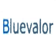 Bluevalor AG
