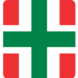 Instituto Universitario Hospital Italiano
