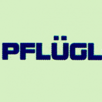 Ingenieurbüro Walter Pflügl
