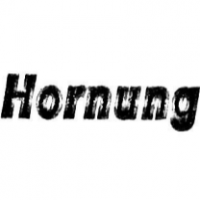 Elektro Hornung GmbH