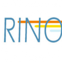 RINO Electronics AG