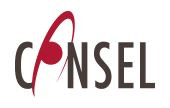 Consel Group AG