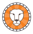 Start Up Lions
