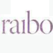 Webdesign Büro „Raibo“