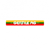 Gebr. Gentile AG