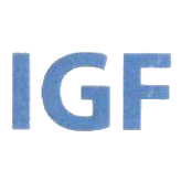 Internet Governance Forum (IGF)