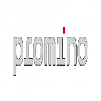 Promino AG