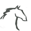 Nationales Reitsportzentrum IENA