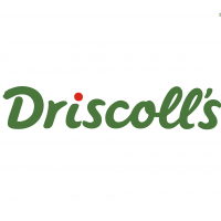 Driscoll’s Ltd