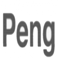 Peng&Partner GmbH