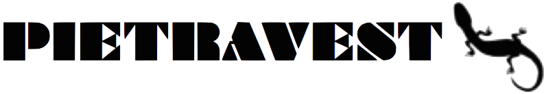 company-head