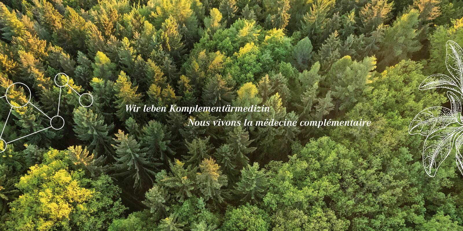 company-head