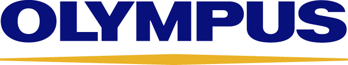 company-head