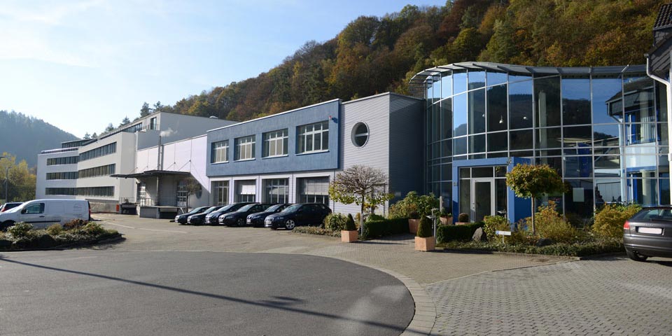 company-head