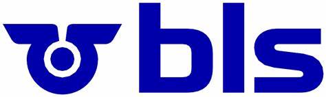 company-head