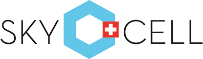 company-head
