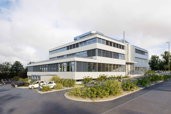 company-head