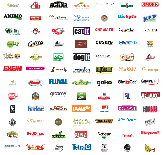 company-head