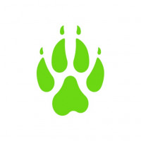Foxtrail Schweiz GmbH