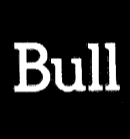 Bull (Schweiz) AG
