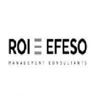 ROI-EFESO Management Consultants