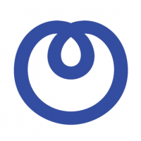 NTT Germany AG & Co KG