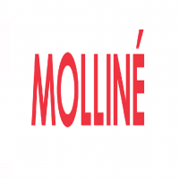 WDV Molliné GmbH
