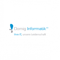 Domig Informatik AG