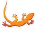 Gecko Media AG