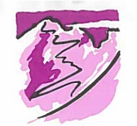 Alpine Guides Ltd.