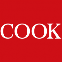 Cook Urogical (Schweiz) AG
