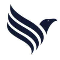 Falcon Travel AG