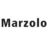 Marzolo & Partner AG