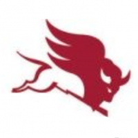 ArvinMeritor CVA AG
