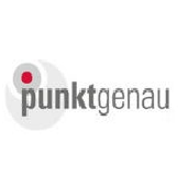 Punktgenau Business Consulting GmbH