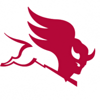 Arvin Meritor CVA AG