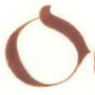 Oettinger Imex AG