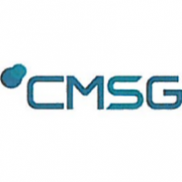 CMSG Commercial Management Solutions GmbH