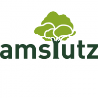 Amstutz Holzenergie AG