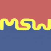 MSW Aviation AG